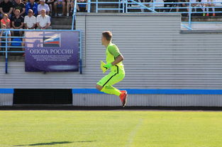 爱游戏ayx-中国足球门将扑救风格分类，中国足球门将扑救风格分类是什么